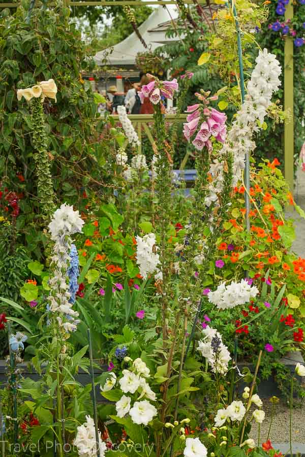 Enjoy a demonstration garden at Carlsbad