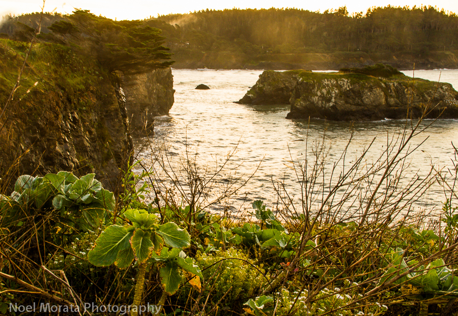 Explore Mendocino Headlands State Park