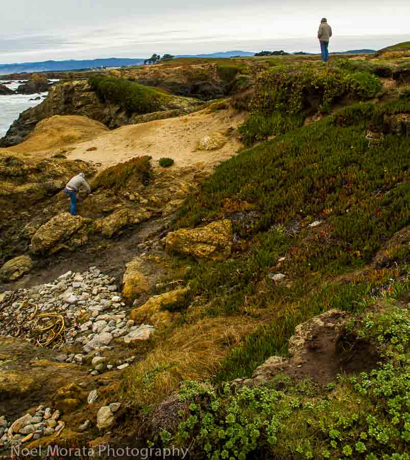 Glass Beach in Fort Bragg: How to See this Unique Beach - California  Through My Lens