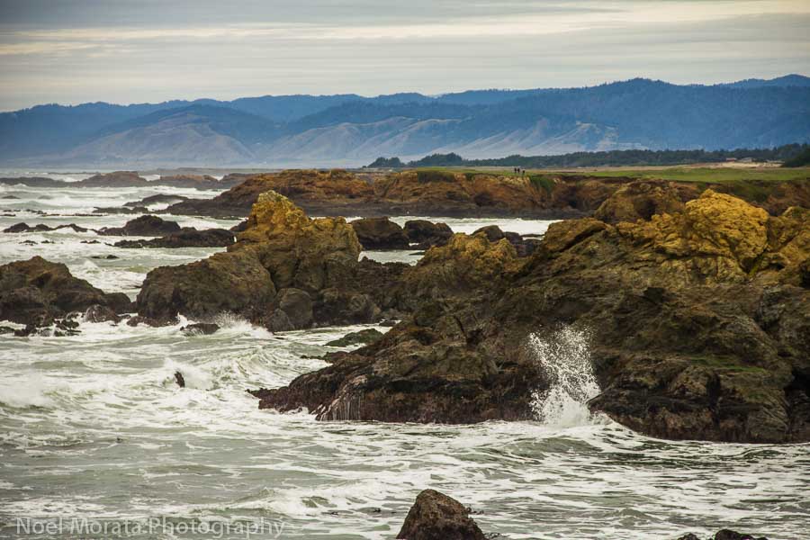 A fun getaway to Fort Bragg along the Northern California coastline