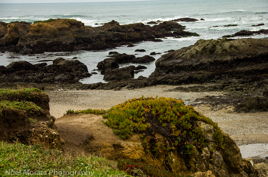 MacKerricher State Park and the Sea Glass beach