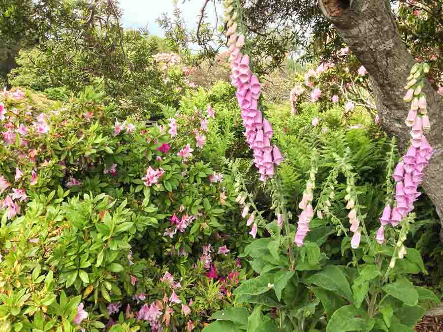 Botanical Gardens and outdoors