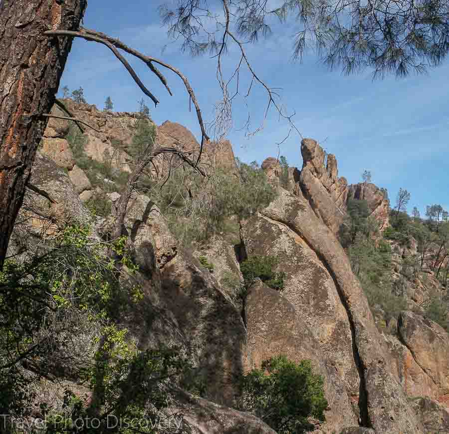 Where is Pinnacles National Park located?