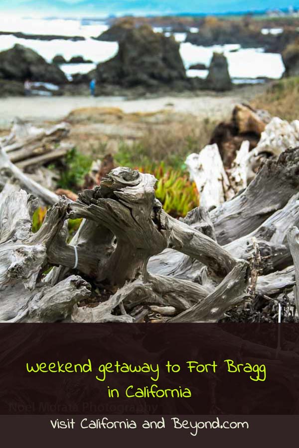 Weekend in Fort Bragg in Northern California