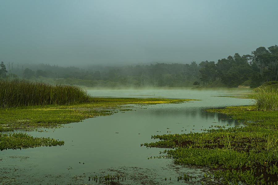 Visit the Fort Bragg State Parks, historic monuments and coastal trails