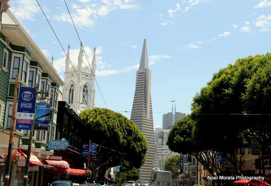 Explore and visit the iconic streets of San Francisco