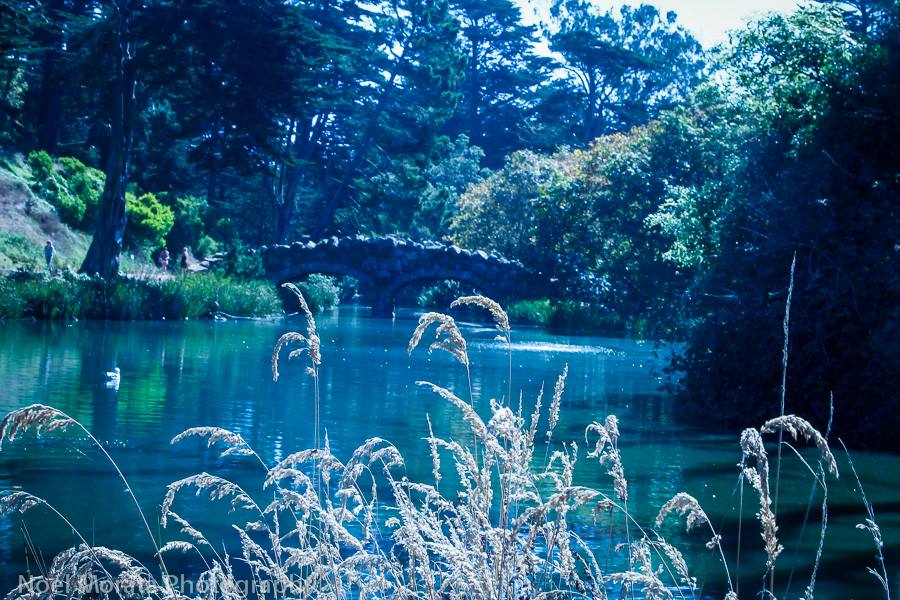 History of Stow Lake