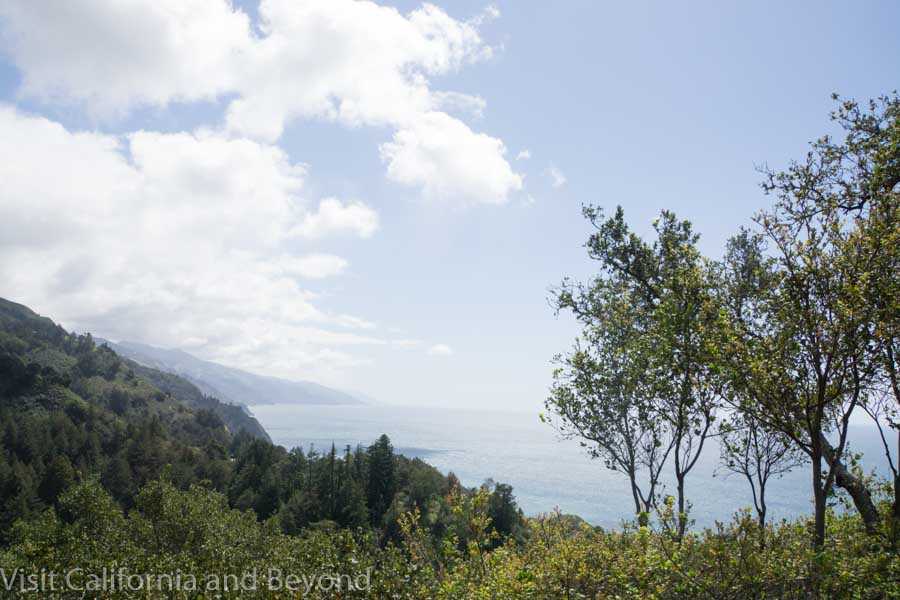 Have you been on a Big Sur Road trip?