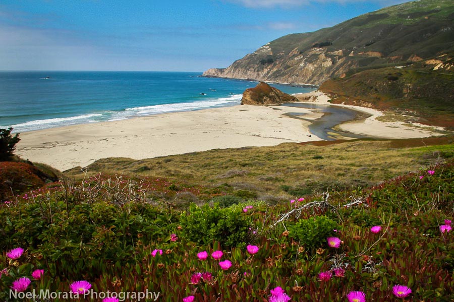 Top things to do in Big Sur and surrounding area