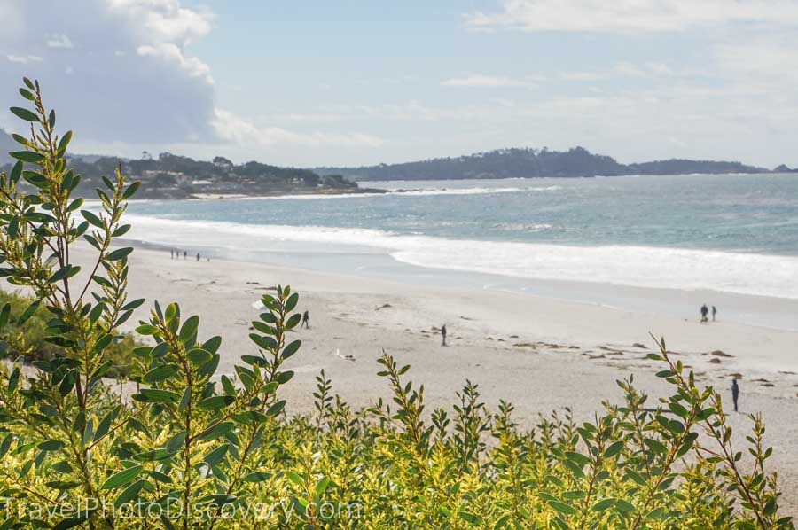 Enjoy a coastal drive or walk along Carmel’s Scenic Road