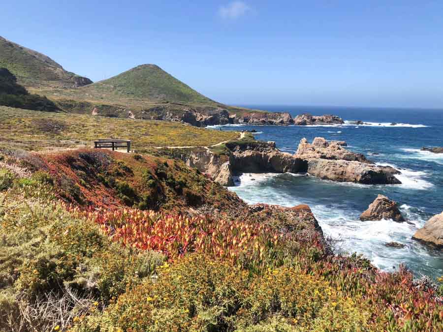 Garrapata Beach