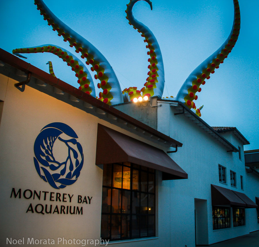 Visit Monterey Aquarium, Cannery Row and Fisherman’s Wharf