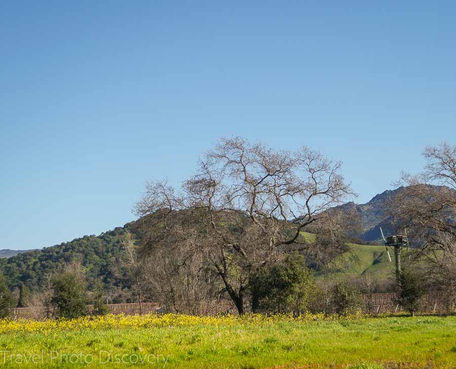 Do an outdoor hiking experience in Napa