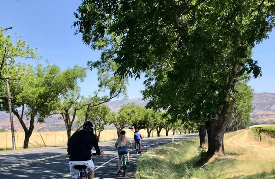 Have a mountain biking experience in Napa