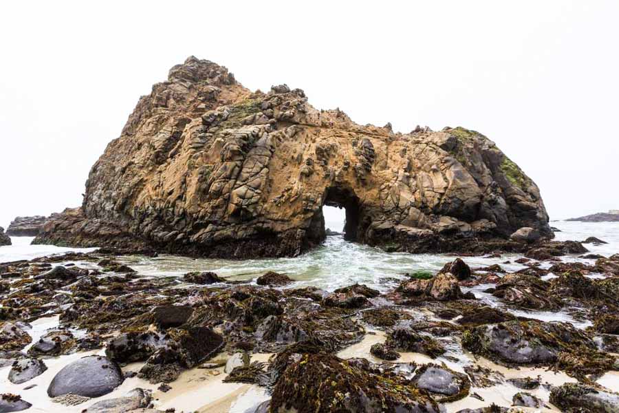 Best things to do at Pfeiffer beach