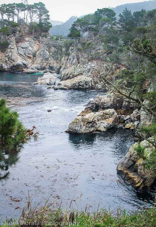 Point Lobos Loop Trail