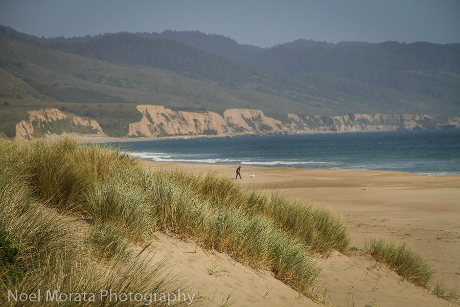 Point Reyes National Seashore