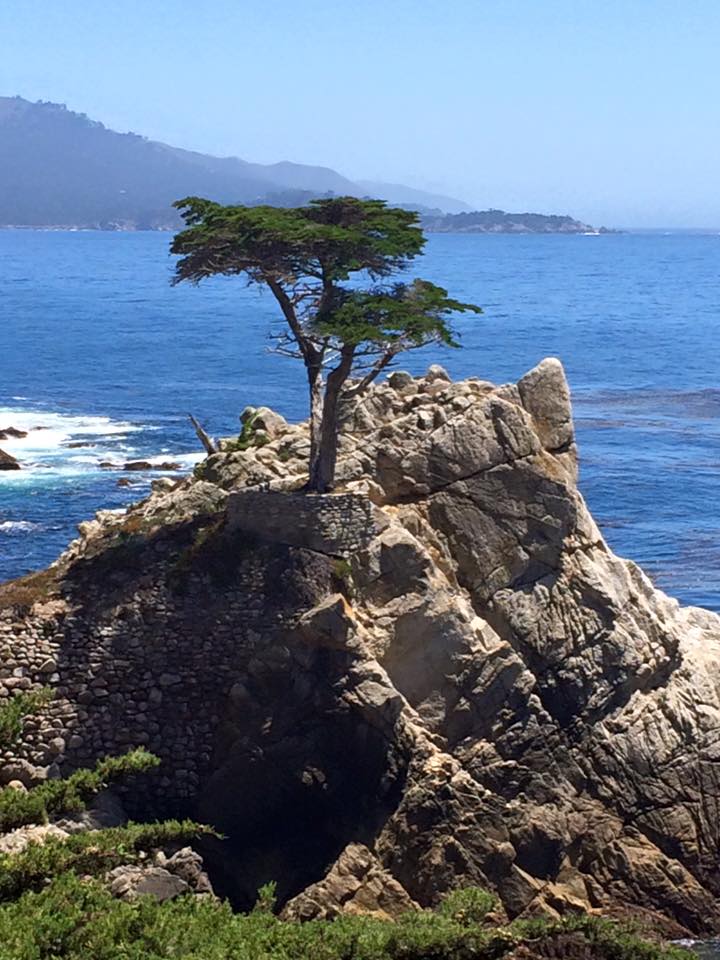 17 Mile Drive