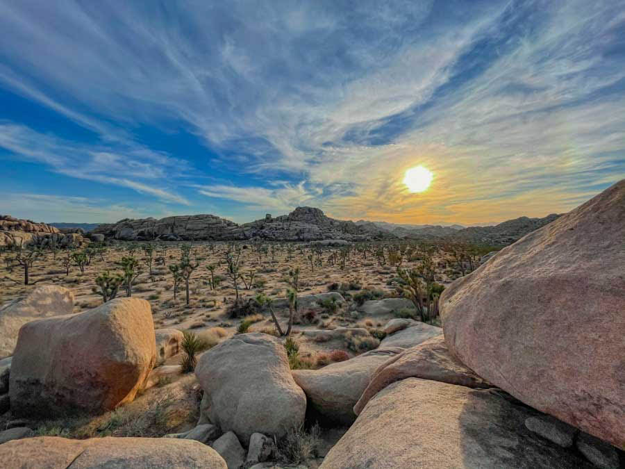 Joshua Tree National Park 