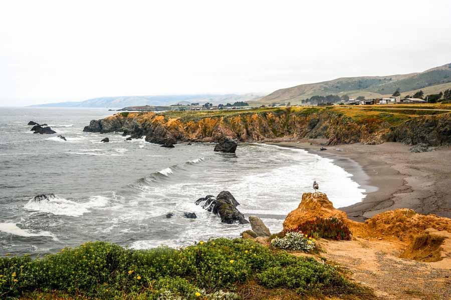 Take a road trip to the Sonoma coastline