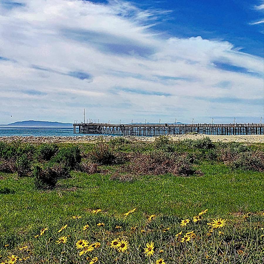 Road trip to Santa Barbara California pier at Ventura