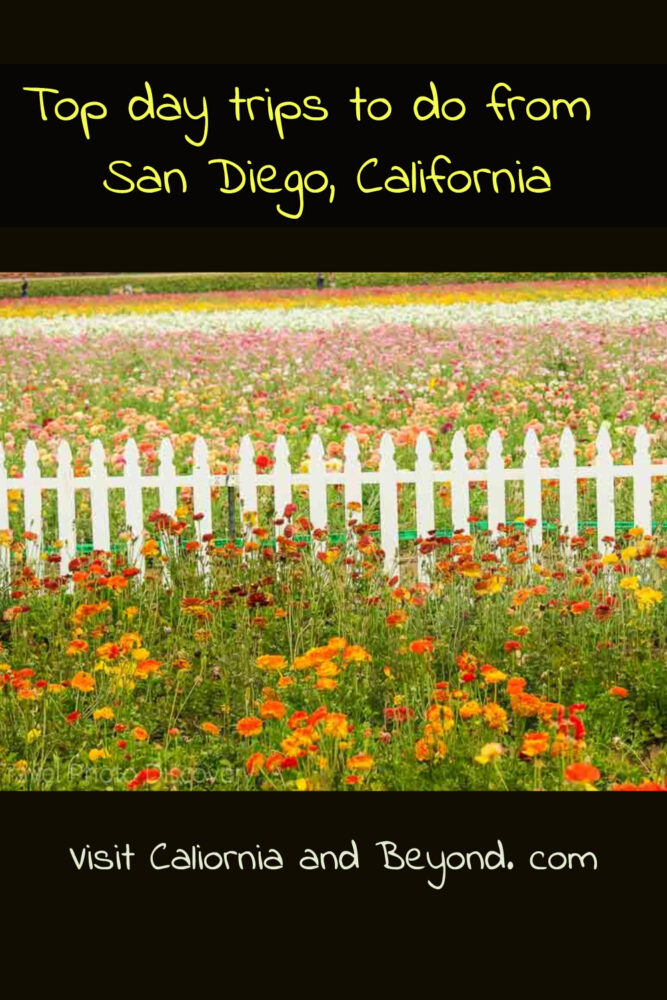 Day trips from San Diego (outdoor adventure, historic sites, beaches & cool places)
