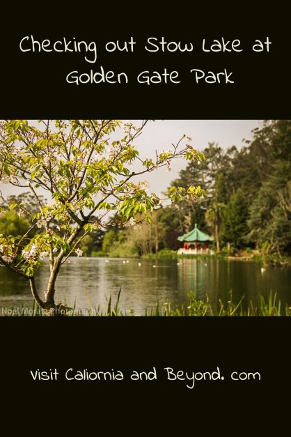 Explore Stow Lake in Golden Gate park