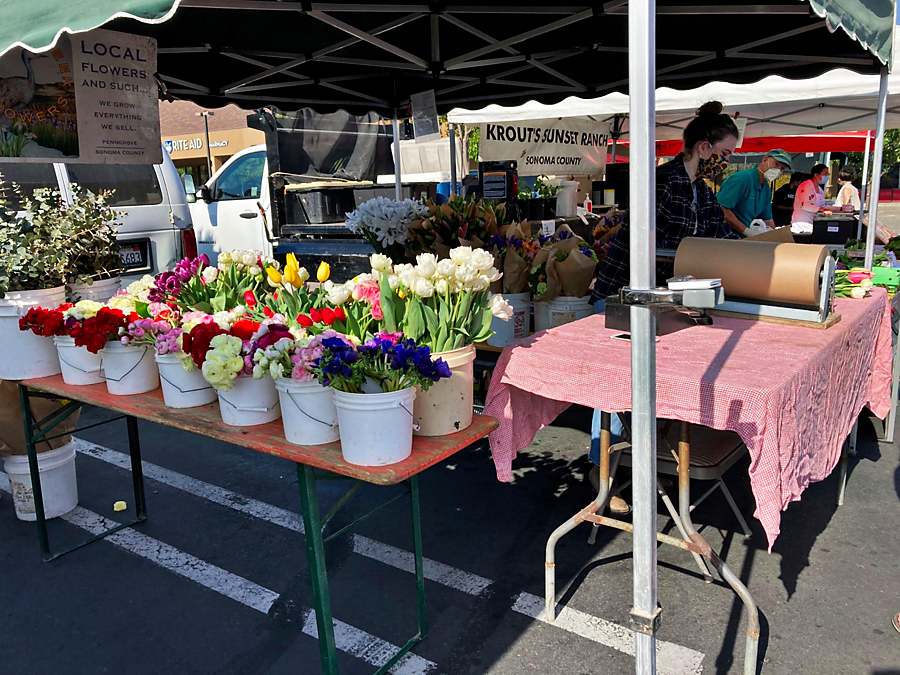 Santa Rosa farmers markets