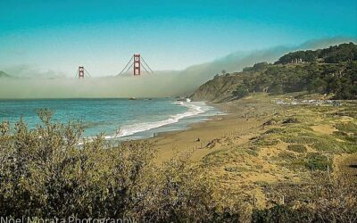 Best beaches in the San Francisco area