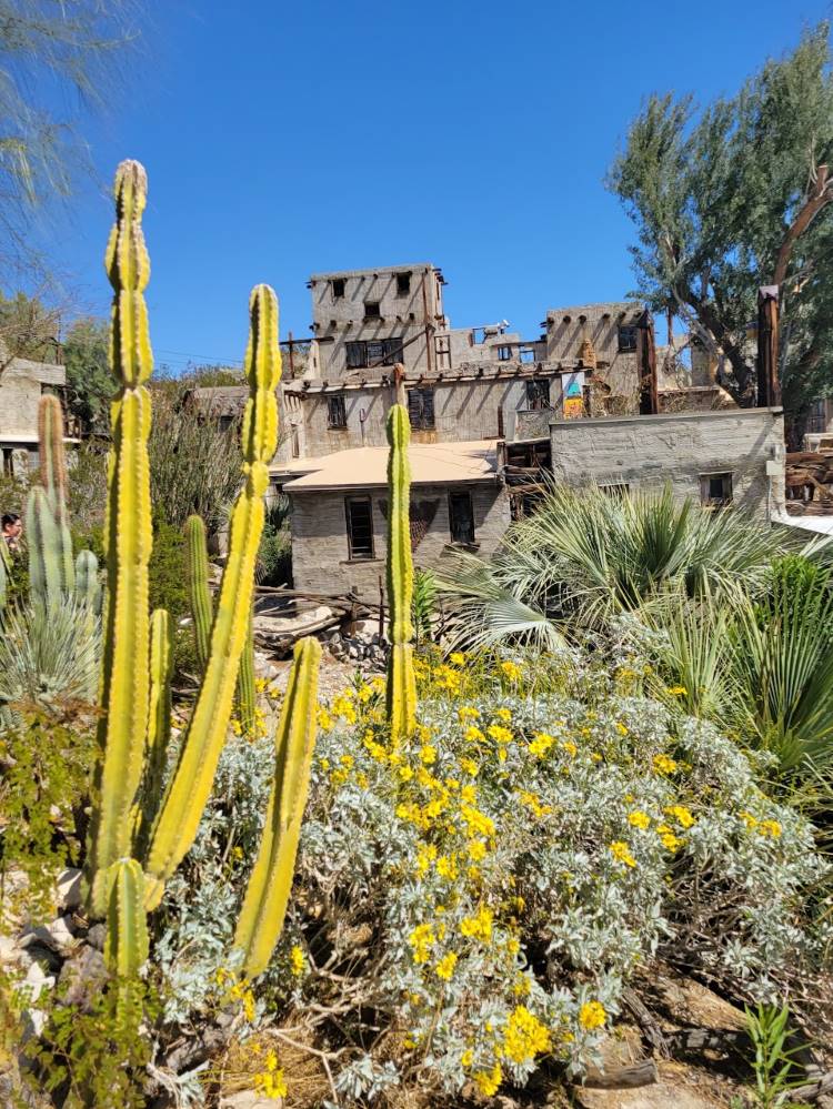 The desert gardens at Cabot's Museum