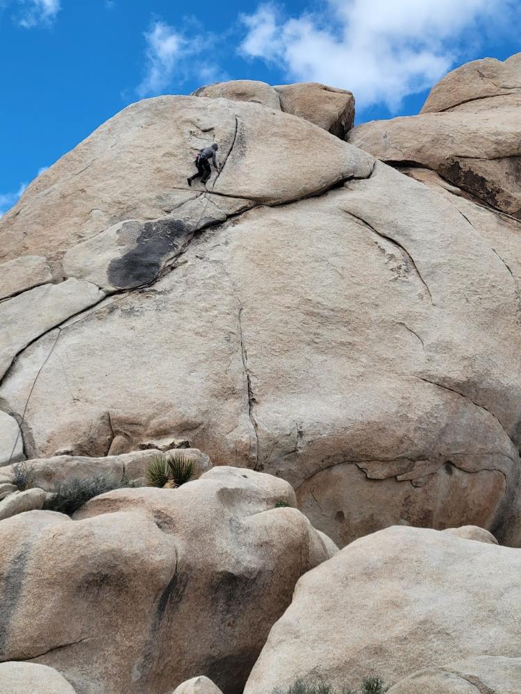Rock Climbing Venues at Joshua Tree National Park