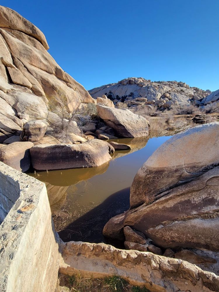 Top attractions to see at Joshua Tree National Park