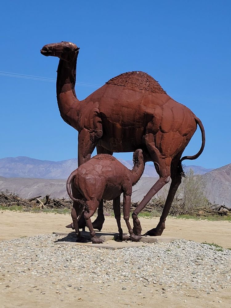 Conclusion to visiting  Anza Borrego State Park    