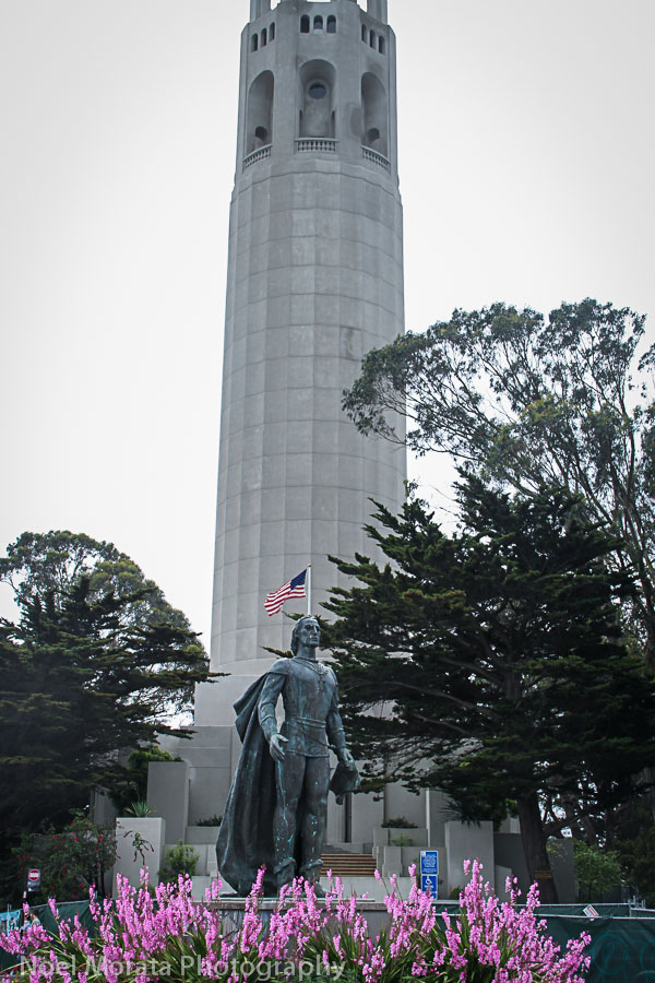 Climb up to Coit Tower
