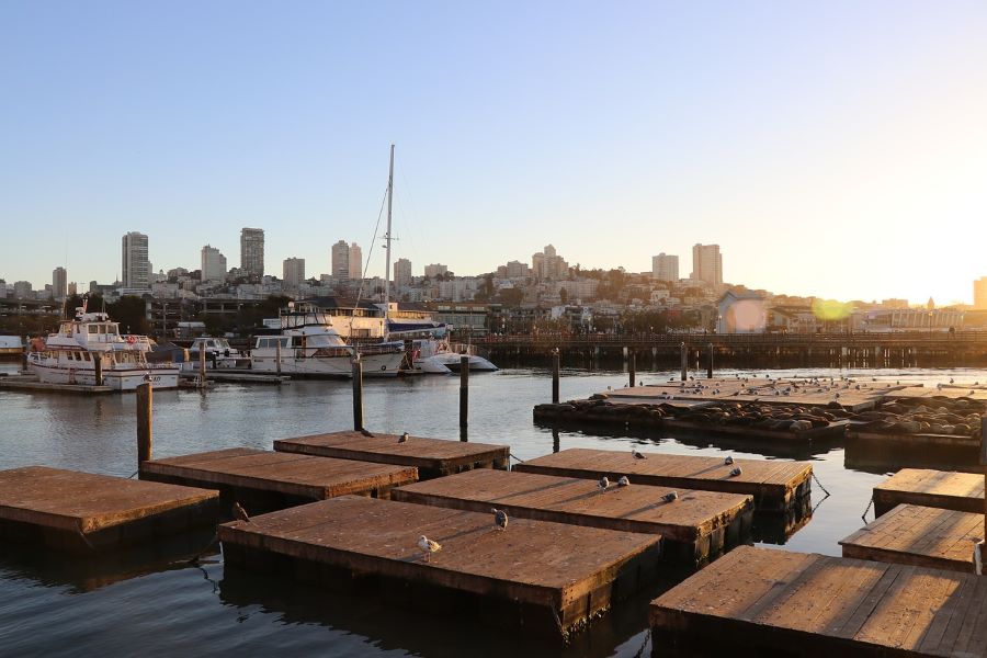 Conclusion to visiting Fisherman's Wharf in San Francisco