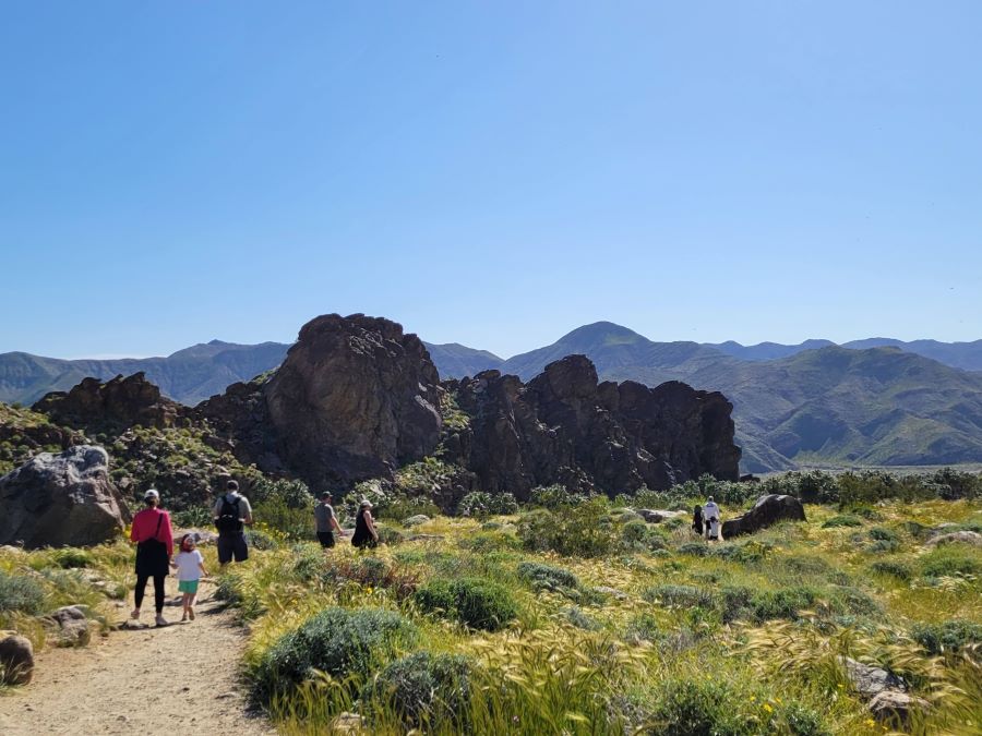 Weather and the best time to visit Anza Borrego area