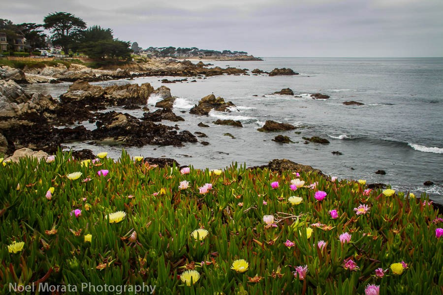 Visit to Monterey