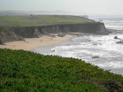 Road trips from San Francisco - Visit California and Beyond