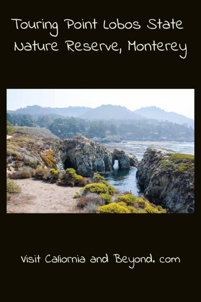 Visit to Point Lobos State Natural Reserve – fantastic look out points, hikes and other cool attractions