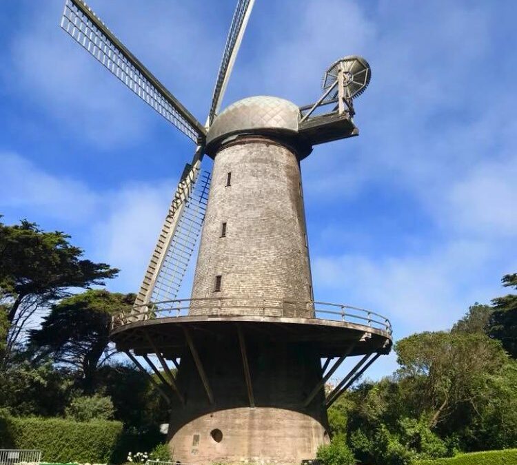 Windmills at Golden Gate Park
