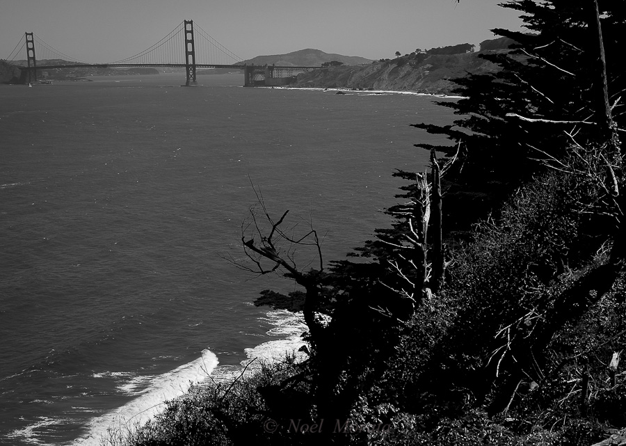 Lands End San Francisco