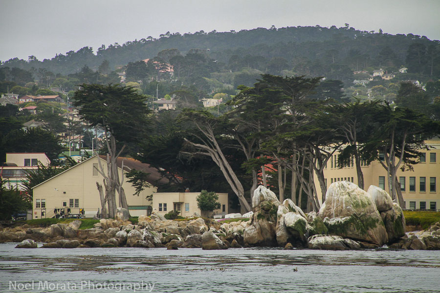 Monterey Tours