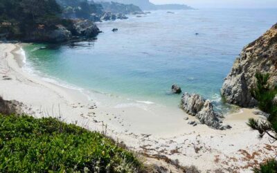 Road trip to Point Lobos State Natural Reserve