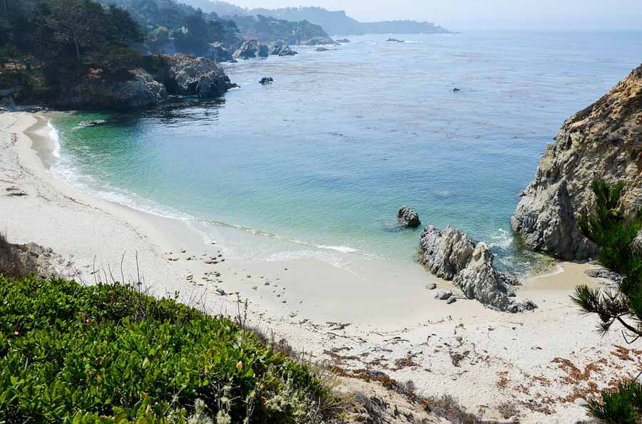 Road trip to Point Lobos State Natural Reserve